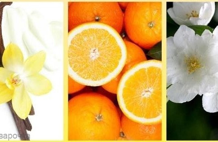 Zilinski&Rosen Апельсин Жасмин Ваниль F Zilinski&Rosen Апельсин Жасмин Ваниль F