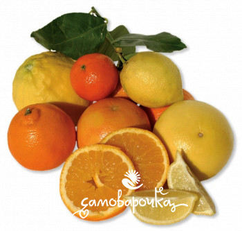 Orange Festival Отдушка UKR Orange Festival Отдушка UKR