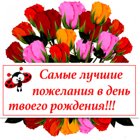 Самые лучшие пожелания...№ 1 круг Самые лучшие пожелания...№ 1 круг