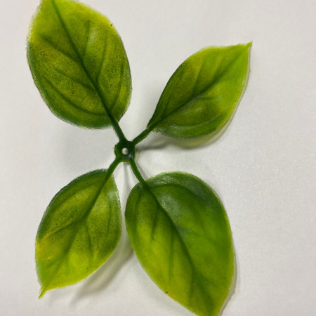 Вставка в букеты Листья розы малые зелень искусственная Вставка в букеты Листья розы малые зелень искусственная