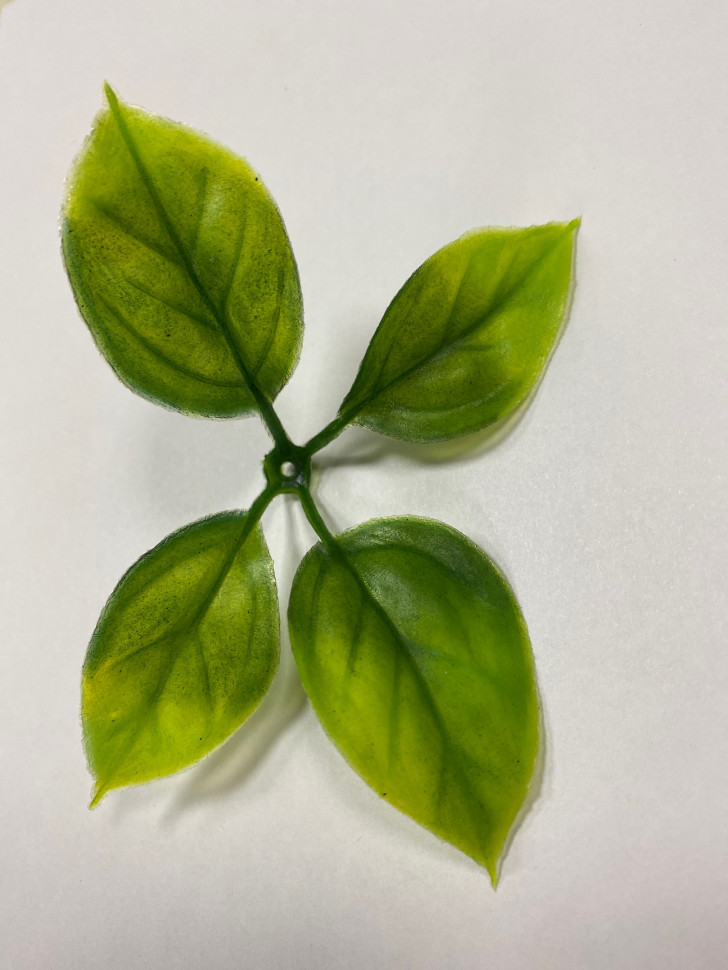 Вставка в букеты Листья розы малые зелень искусственная - Вставка в букеты Листья розы малые зелень искусственная -