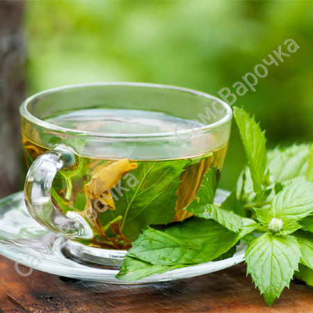 Гидролат Зелёного чая Гидролат Зелёного чая