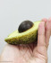 Авокадо с косточкой Силиконовая форма 3D - 