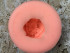 Бутон Циннии силиконовая форма 3D* - Молд для мыла
