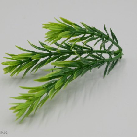 Вставка в букет Розмарин Киви 10 шт