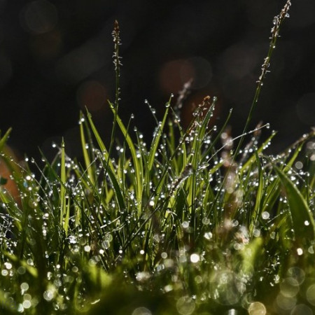 Свежесть ливня отдушка UKR