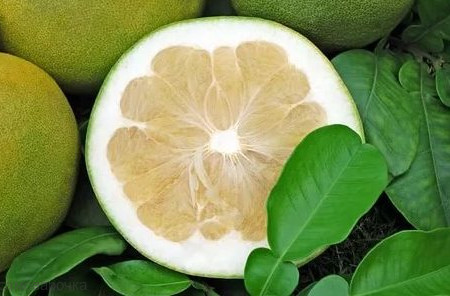 Pumplemousse отдушка косметическая UKR