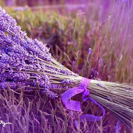 Лаванда Отдушка UKR Лаванда Отдушка UKR