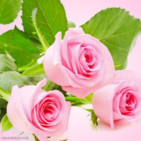 Роза отдушка косметическая GER Роза отдушка косметическая GER