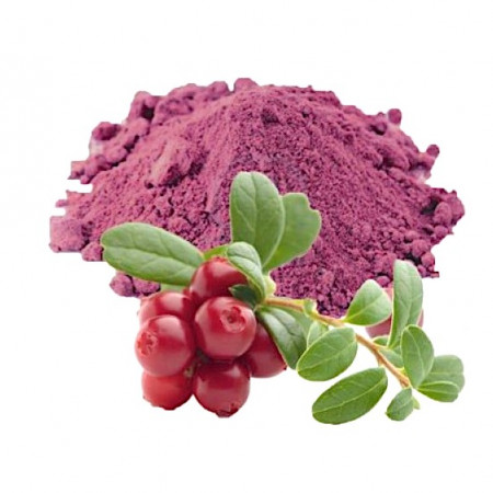 Пудра брусники Пудра брусники