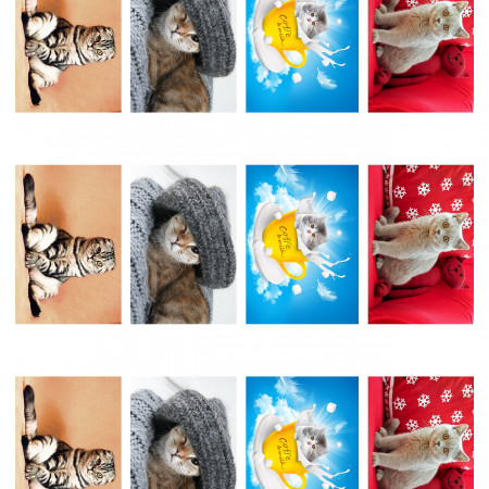  водорастворимая бумага с картинкой подборка №113 Котята