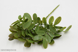 Эвкалипт Энри ​​​​​​​​​​Зелень  искусственная 