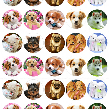 Щенки водорастворимая бумага с картинкой подборка №35