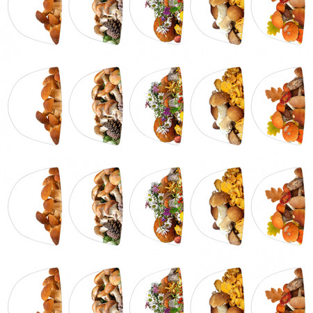 Грибное лукошко водорастворимая бумага с картинкой подборка №44 Грибное лукошко водорастворимая бумага с картинкой подборка №44