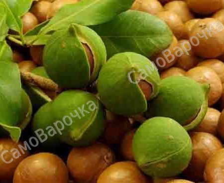 Масло макадамии, рафинированное