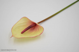 Антуриум одиночный (силикон) 60 см зелень искусственная Антуриум одиночный (силикон) 60 см зелень искусственная