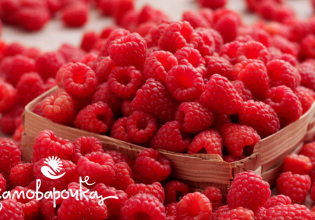 Малина Отдушка UKR Малина Отдушка UKR