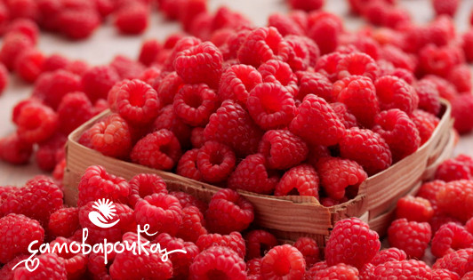 Малина Отдушка UKR - 