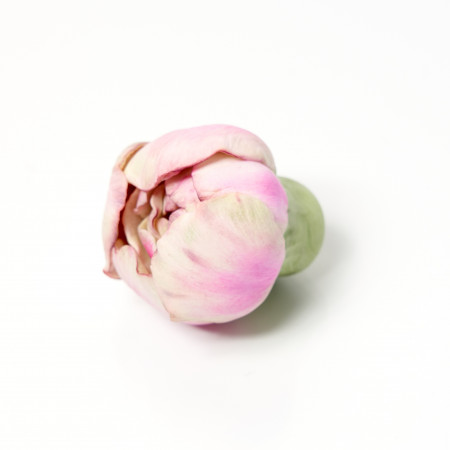 Бутон Пиона форма силиконовая 3D