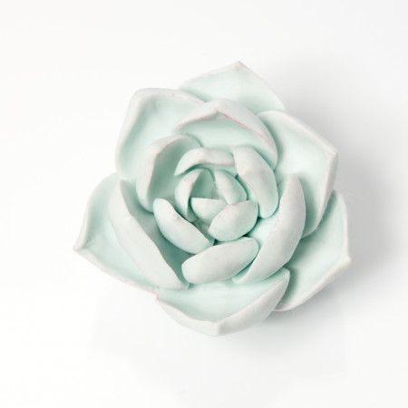 Суккулент Эхеверия форма силиконовая 3D Суккулент Эхеверия форма силиконовая 3D