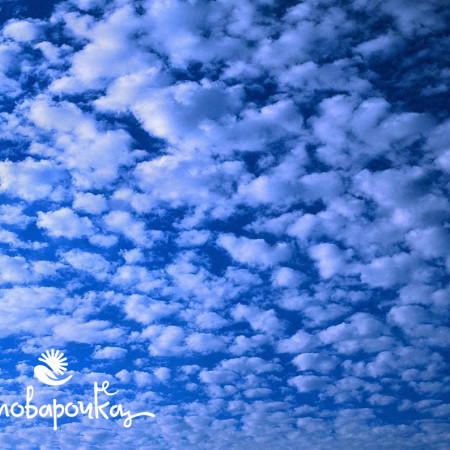 Озон Отдушка UKR  Озон Отдушка UKR