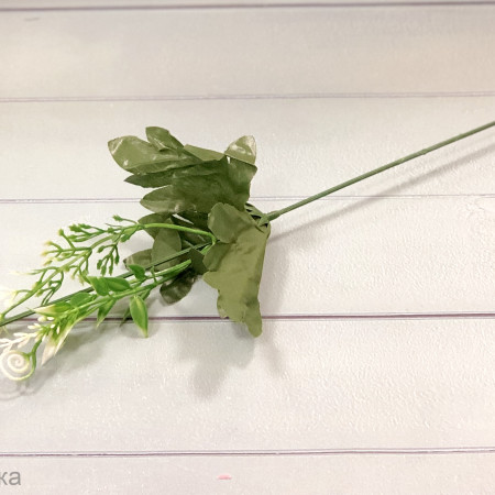 Стебель хризантемы Стебель хризантемы