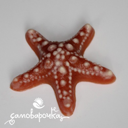 Морская звезда форма пластиковая ex-dirty Морская звезда форма пластиковая ex-dirty