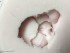 Орхидея классическая Силиконовая форма 3D* - Молд для мыла