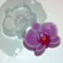 Орхидея форма пластиковая - Для мыла и шоколада