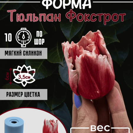 Тюльпан Фокстрот Силиконовая форма 3D Тюльпан Фокстрот Силиконовая форма 3D