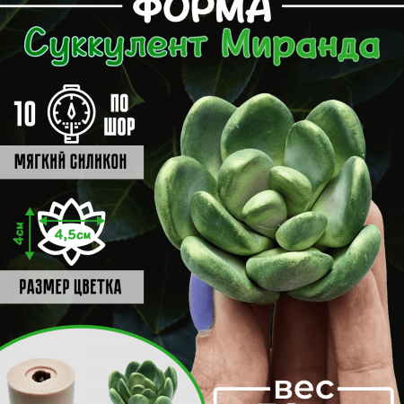 Суккулент Миранда Силиконовая форма Суккулент Миранда Силиконовая форма