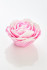 Роза пионовидная большая Силиконовая форма 3D для мыла - Молд для мыла