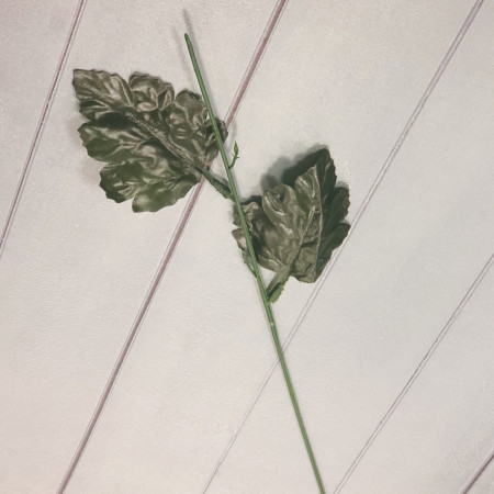 Стебель с листьями хризантемы Стебель с листьями хризантемы