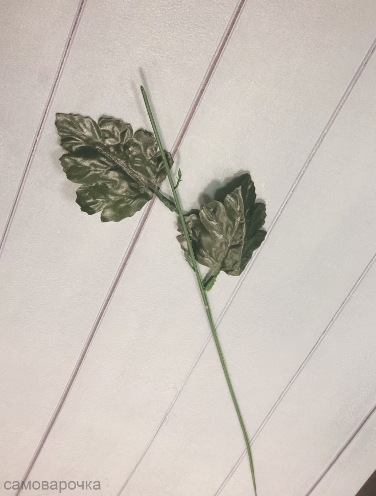 Стебель с листьями хризантемы - Стебель с листьями хризантемы -