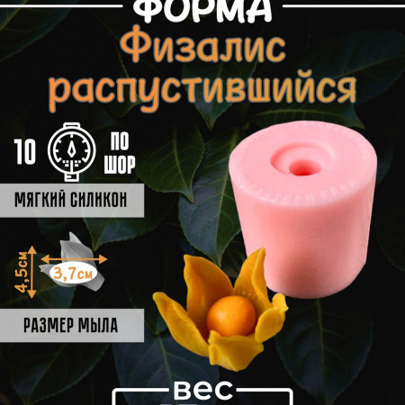 Физалис распустившийся Силиконовая форма Физалис распустившийся Силиконовая форма