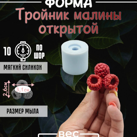 Тройник малины открытой Силиконовая форма 3D Тройник малины открытой Силиконовая форма 3D