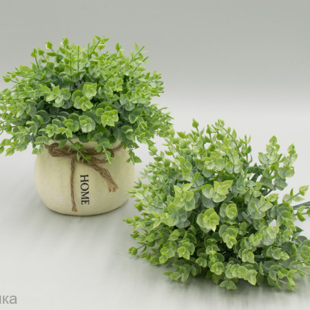 Срез дисхидия "Лайве зелень искусственная 6 веток