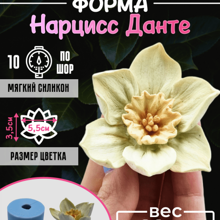 Нарцисс Данте форме Силиконовая 3D Нарцисс Данте форме Силиконовая 3D