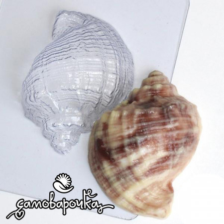 Ракушка-Рапан форма пластиковая Ракушка-Рапан форма пластиковая